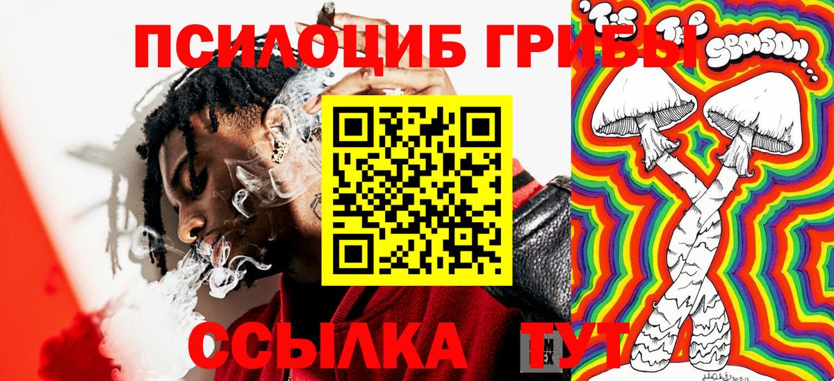Псилоцибиновые грибы прущие грибы  Вход с VPN  Киров 